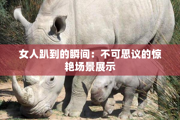 女人趴到的瞬间：不可思议的惊艳场景展示