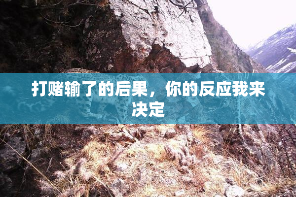打赌输了的后果，你的反应我来决定
