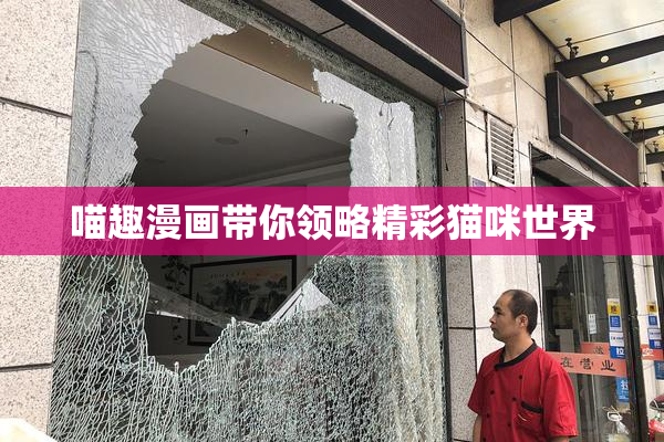 喵趣漫画带你领略精彩猫咪世界