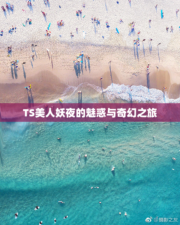 TS美人妖夜的魅惑与奇幻之旅