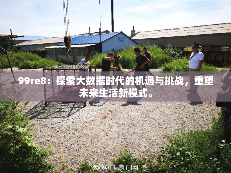 99re8：探索大数据时代的机遇与挑战，重塑未来生活新模式。