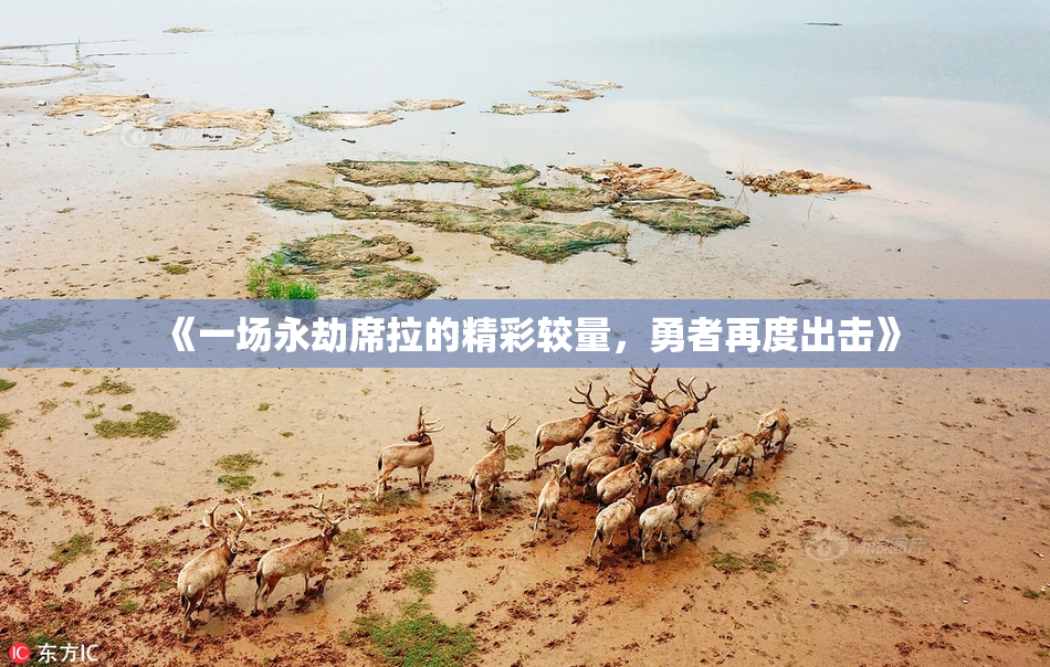 《一场永劫席拉的精彩较量，勇者再度出击》