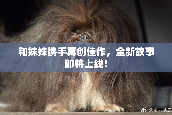 和妹妹携手再创佳作，全新故事即将上线！