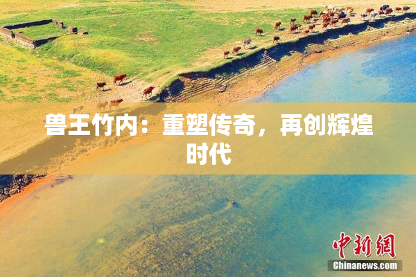 兽王竹内：重塑传奇，再创辉煌时代