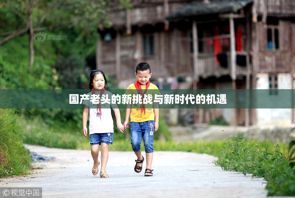 国产老头的新挑战与新时代的机遇