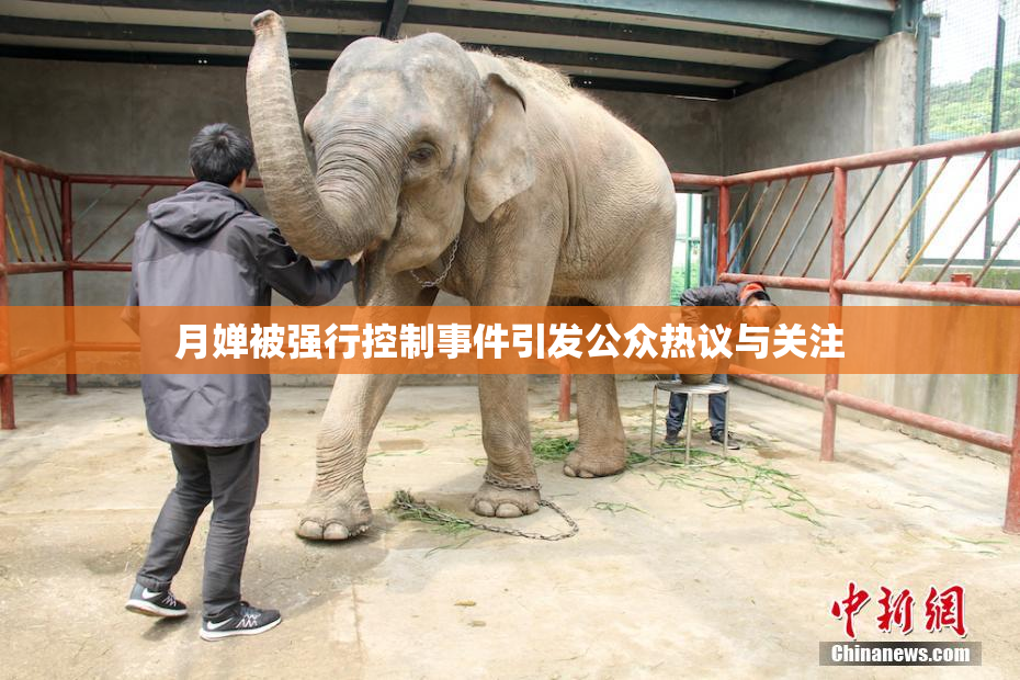月婵被强行控制事件引发公众热议与关注