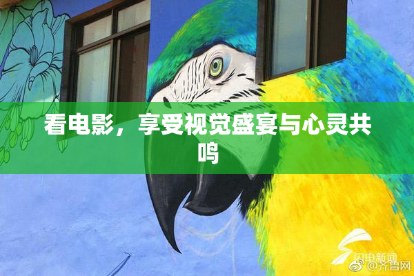 看电影，享受视觉盛宴与心灵共鸣