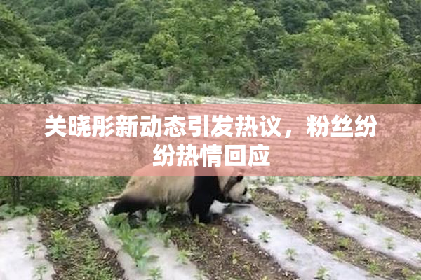关晓彤新动态引发热议，粉丝纷纷热情回应