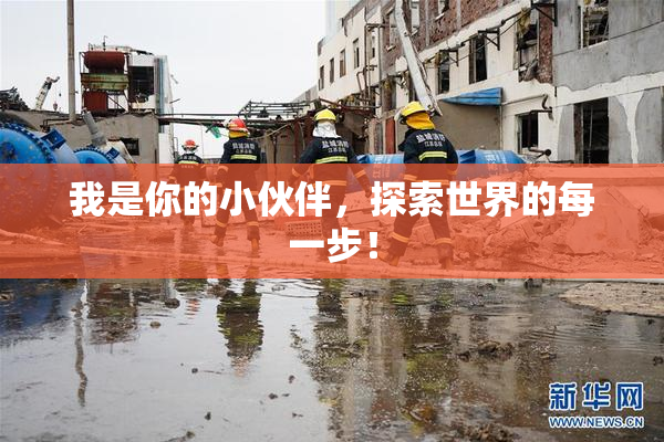我是你的小伙伴，探索世界的每一步！