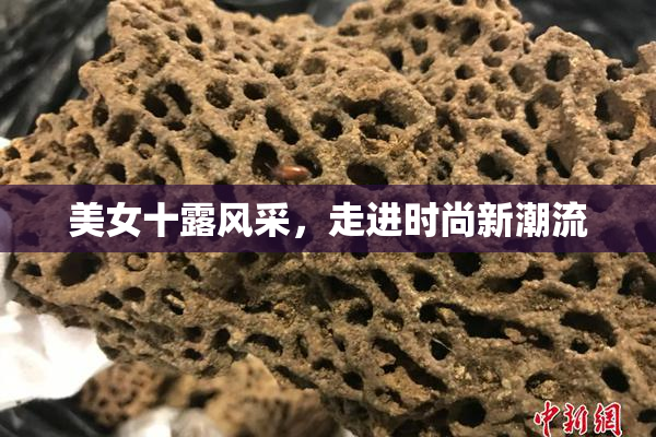 美女十露风采，走进时尚新潮流