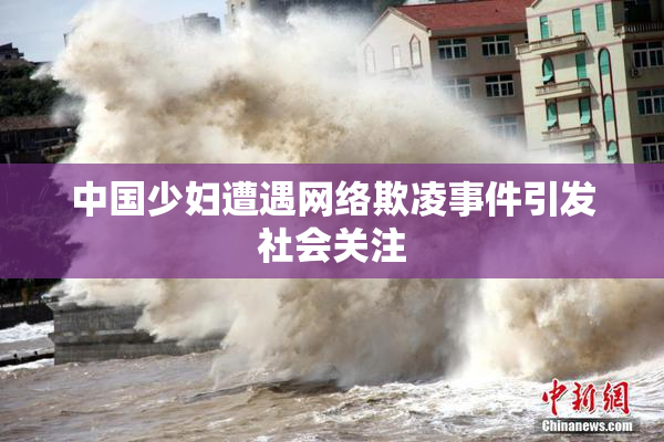 中国少妇遭遇网络欺凌事件引发社会关注