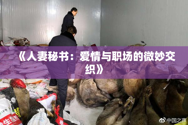 《人妻秘书：爱情与职场的微妙交织》