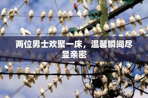 两位男士欢聚一床，温馨瞬间尽显亲密
