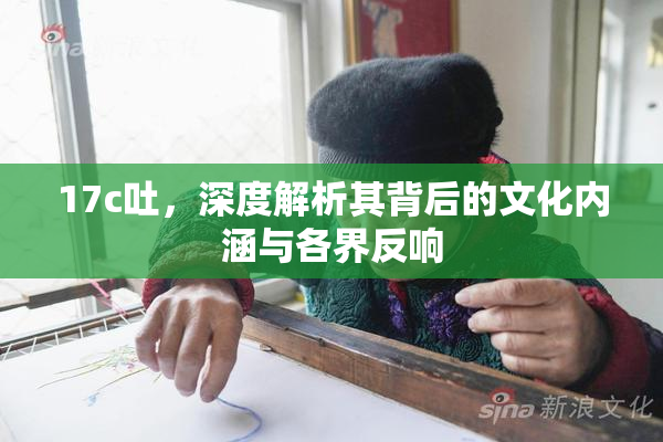 17c吐，深度解析其背后的文化内涵与各界反响