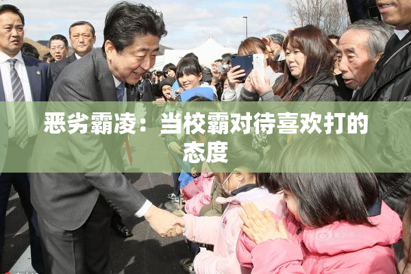 恶劣霸凌：当校霸对待喜欢打的态度