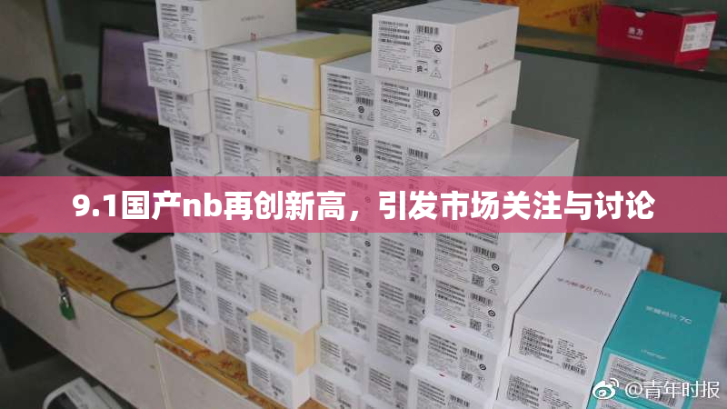 9.1国产nb再创新高，引发市场关注与讨论