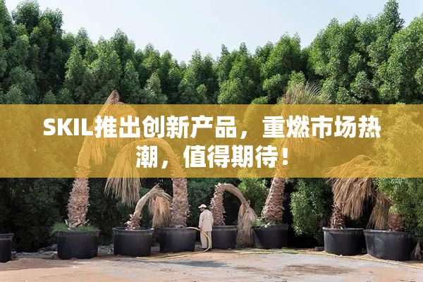 SKIL推出创新产品，重燃市场热潮，值得期待！