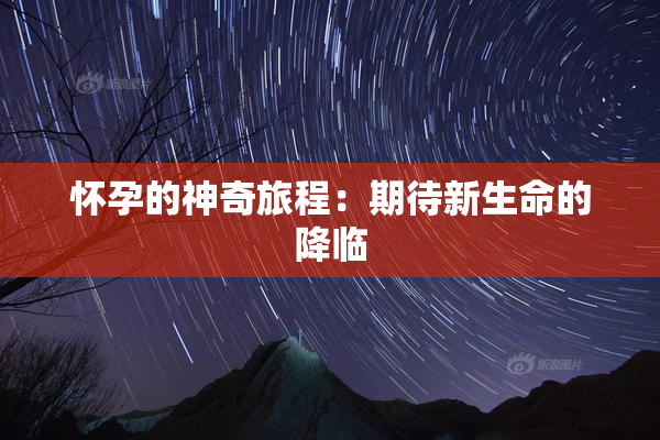 怀孕的神奇旅程：期待新生命的降临