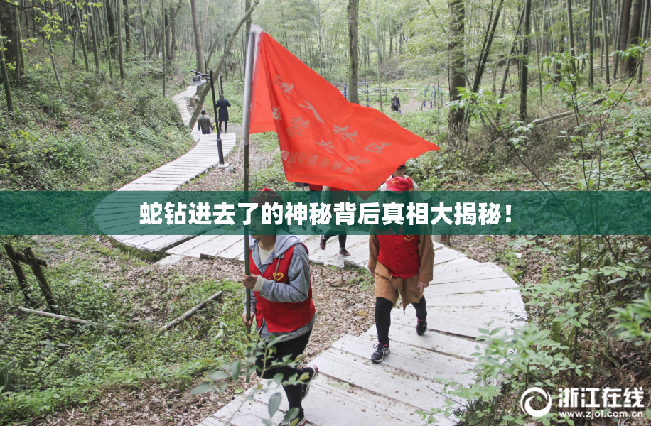 蛇钻进去了的神秘背后真相大揭秘！