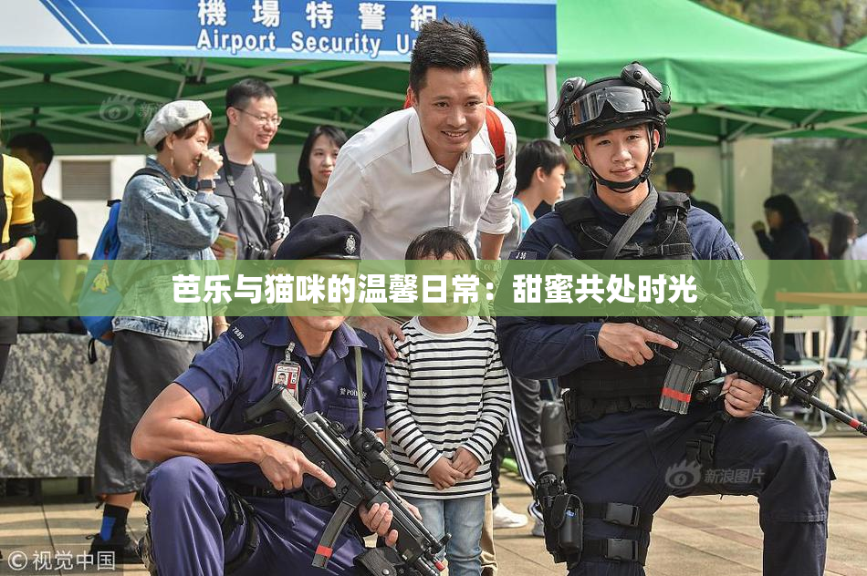 芭乐与猫咪的温馨日常：甜蜜共处时光
