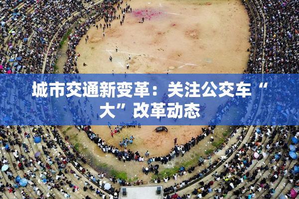 城市交通新变革：关注公交车“大”改革动态