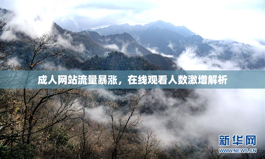 成人网站流量暴涨，在线观看人数激增解析
