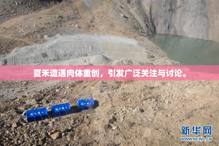 夏禾遭遇肉体重创，引发广泛关注与讨论。