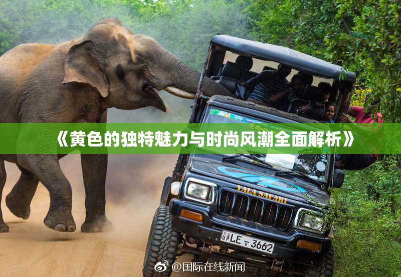 《黄色的独特魅力与时尚风潮全面解析》