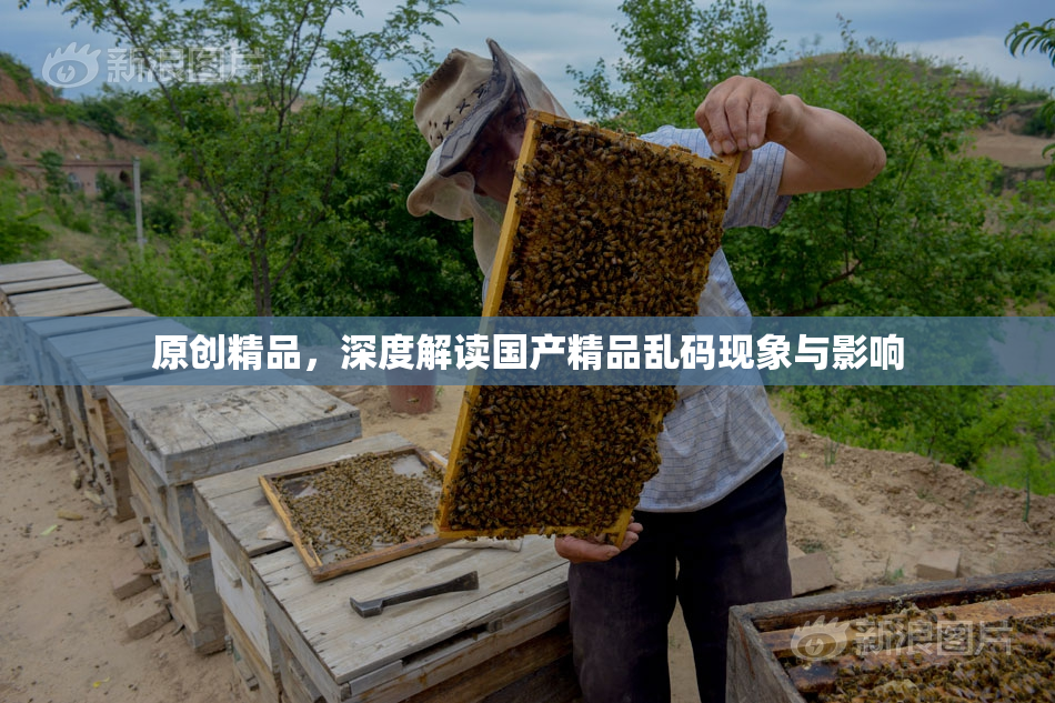 原创精品，深度解读国产精品乱码现象与影响