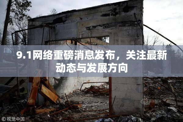 9.1网络重磅消息发布，关注最新动态与发展方向