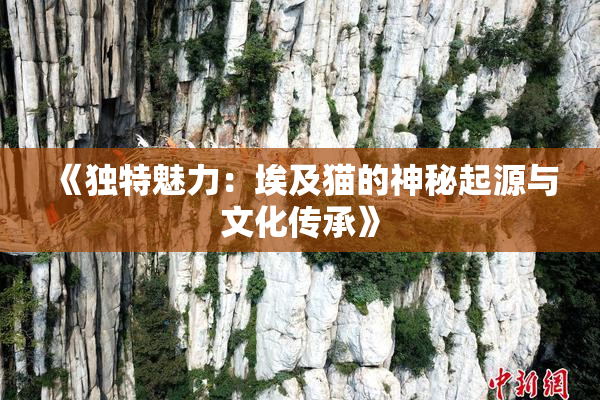 《独特魅力：埃及猫的神秘起源与文化传承》