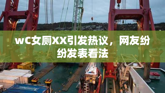 wC女厕XX引发热议，网友纷纷发表看法