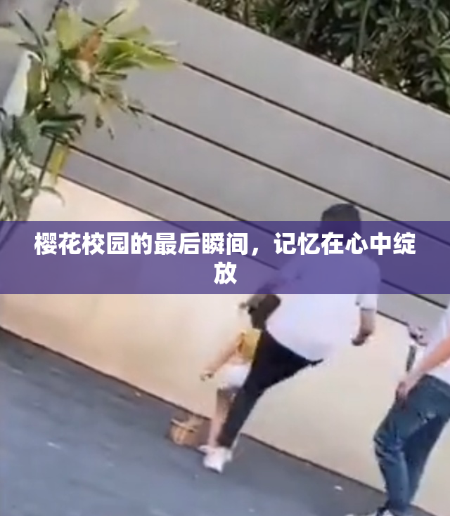 樱花校园的最后瞬间，记忆在心中绽放