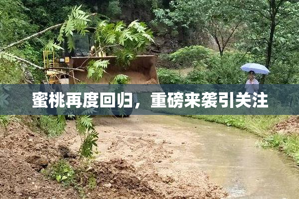 蜜桃再度回归，重磅来袭引关注