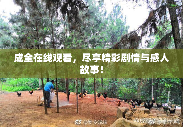成全在线观看，尽享精彩剧情与感人故事！