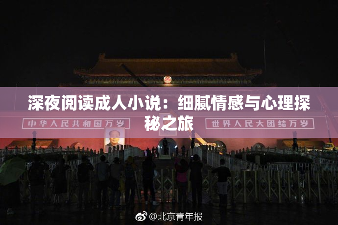 深夜阅读成人小说：细腻情感与心理探秘之旅