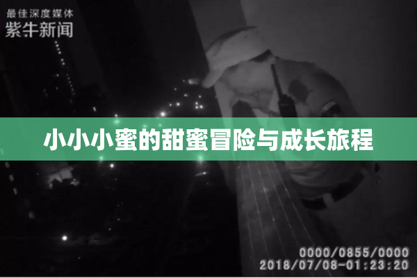 小小小蜜的甜蜜冒险与成长旅程