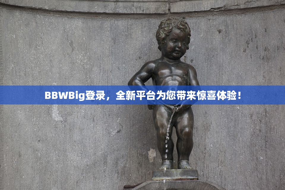 BBWBig登录，全新平台为您带来惊喜体验！