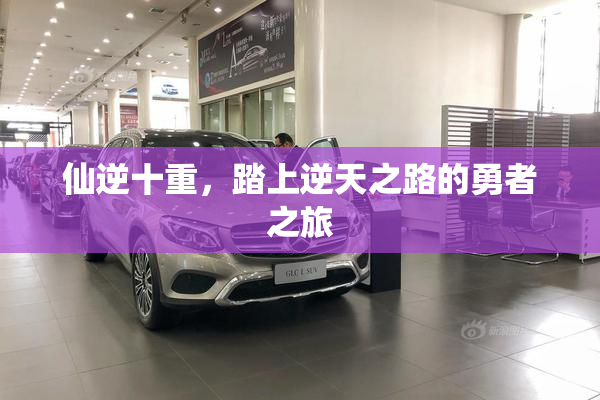 仙逆十重，踏上逆天之路的勇者之旅