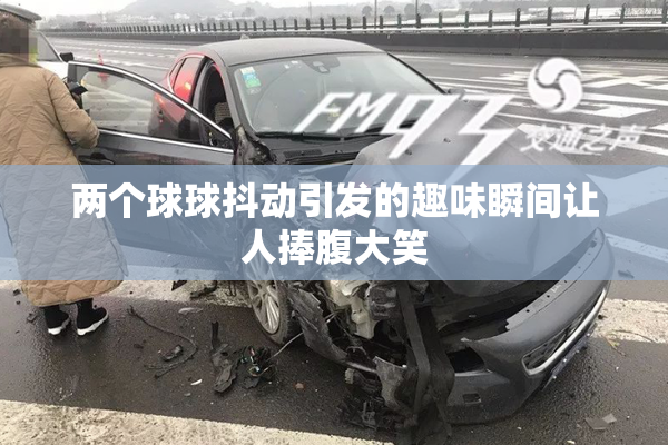 两个球球抖动引发的趣味瞬间让人捧腹大笑