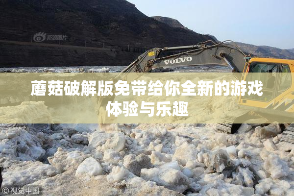 蘑菇破解版免带给你全新的游戏体验与乐趣