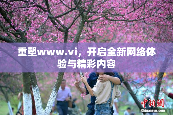 重塑www.vi，开启全新网络体验与精彩内容