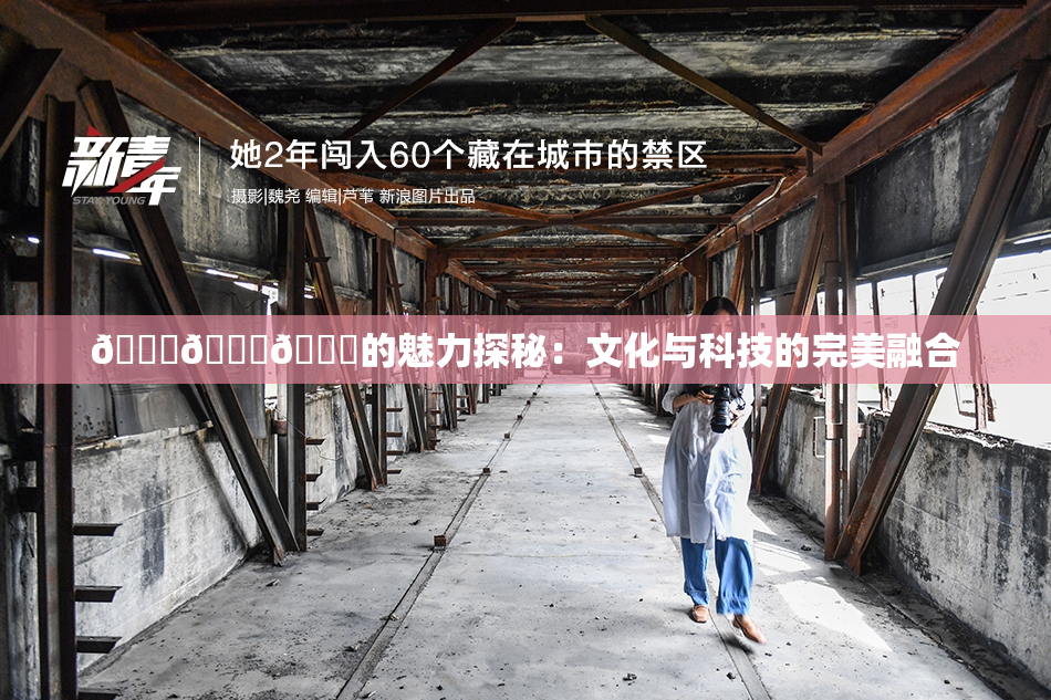 🍆🍑🔞的魅力探秘：文化与科技的完美融合