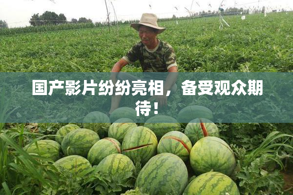 国产影片纷纷亮相，备受观众期待！