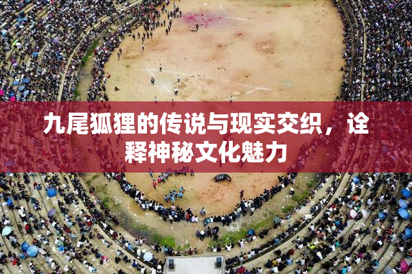 九尾狐狸的传说与现实交织，诠释神秘文化魅力