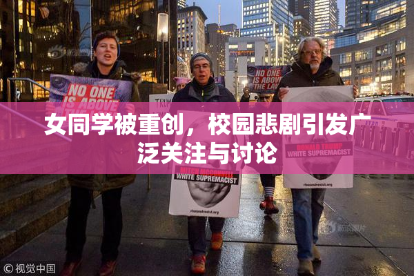 女同学被重创，校园悲剧引发广泛关注与讨论