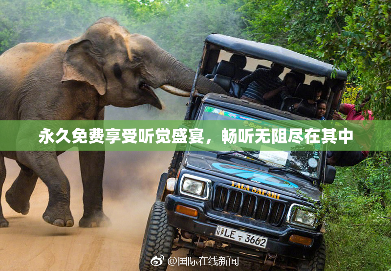 永久免费享受听觉盛宴，畅听无阻尽在其中