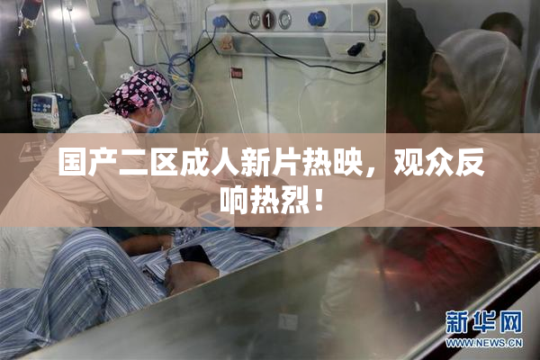 国产二区成人新片热映，观众反响热烈！
