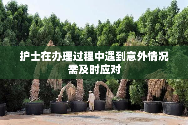 护士在办理过程中遇到意外情况需及时应对
