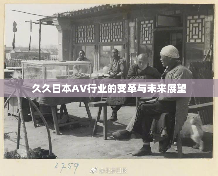 久久日本AV行业的变革与未来展望